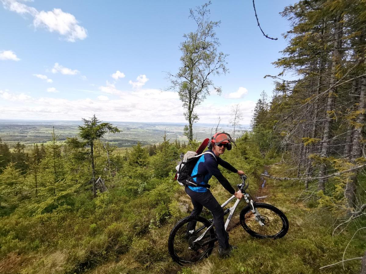 Idylliske Evjua Ved Mjosa Hotel Skreia ภายนอก รูปภาพ