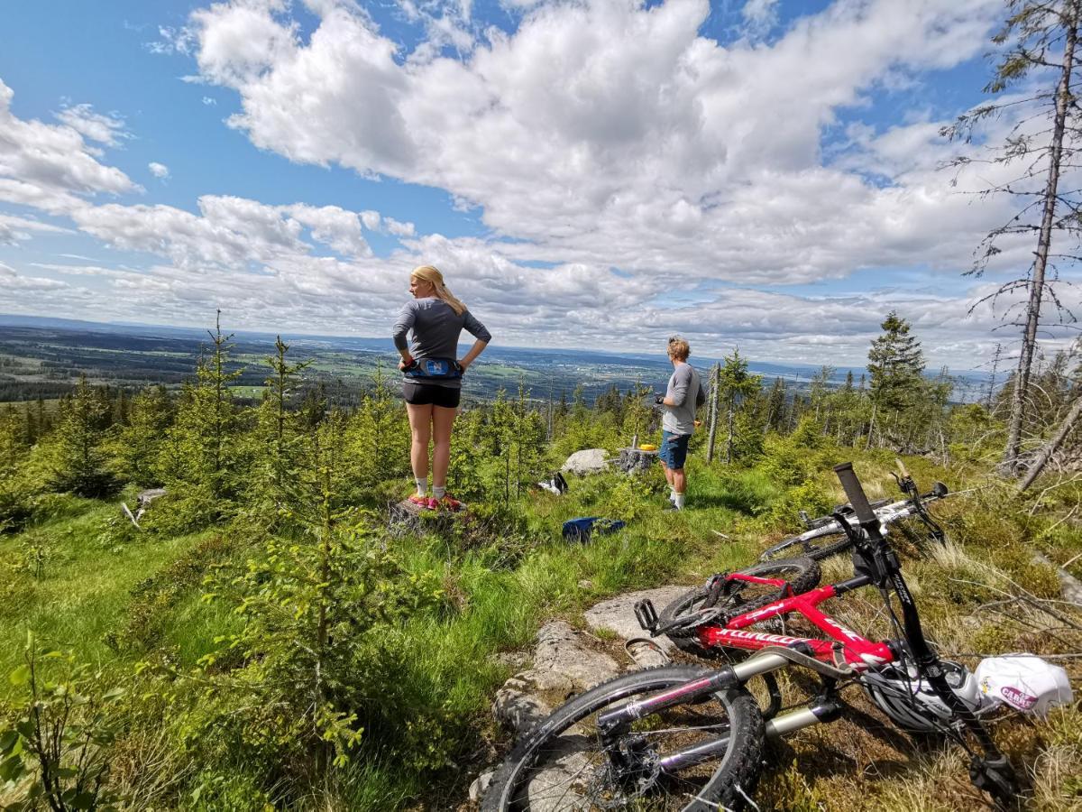 Idylliske Evjua Ved Mjosa Hotel Skreia ภายนอก รูปภาพ